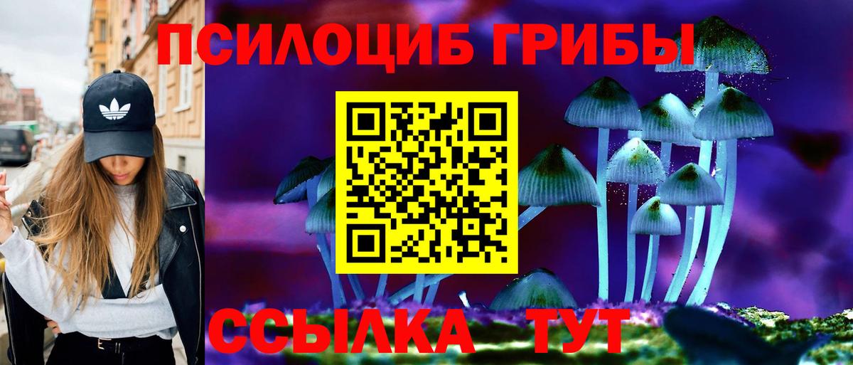 Рязань  Галлюциногенные грибы GOLDEN TEACHER  Вход с VPN  Галлюциногенные грибы Psilocybe 